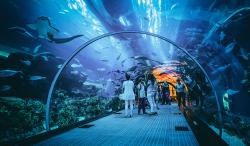 Akuarium Raksasa Oceanarium di Bintaro Xchange Sarana Berlibur Sambil Belajar