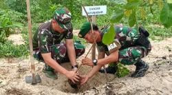 Kodim 0431/Bangka Barat Tanam Ratusan Pohon di Pesisir Pantai Teluk Rubiah Mentok