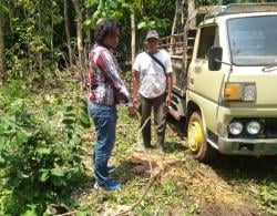 Curi Pohon Jati di Hutan Milik Perhutani KPH Purwodadi, Begini Nasib Pelaku