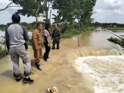 Jalan Penghubung di Plosorejo Tawangharjo Amblong, Imbas Tanggul Jebol