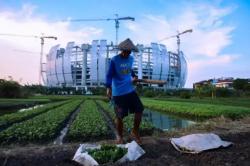 Melalui Upland Project, Petani Belajar Publikasikan Hasil Pertanian di Medsos