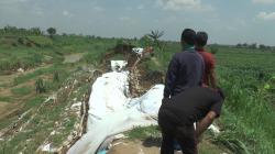 Tanggul Sepanjang 200 meter Longsor, Ancam Ribuan Rumah dan Ratusan Hektar Sawah