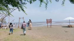 Beach Forest, Spot Wisata Pantai yang Cocok untuk Liburan Akhir Tahun