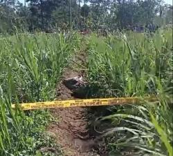 Geger!! Sesosok Mayat Laki - laki Ditemukan Tewas di Ladang Tebu