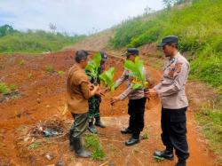 Penanaman Pohon Tangkap Pemanasan Global