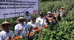 Wabup Sebut Garut Jadi Salah Satu Produsen Cabai Terbesar