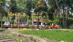 Healing dengan Wahana Kereta Sawah di Kampung Leuit Floating Market Lembang