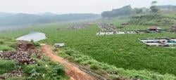 Eceng Gondok Penuhi Perairan Jangari, Petani Ikan Japung Menjerit