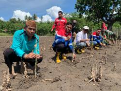 Akhir Tahun 2023, PT Pertamina Fuel Terminal Gorontalo Tanam Mangrove di Desa Tongo