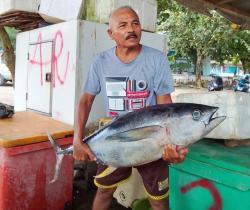 Pak Mat dan Keberuntungan Laut, Kisah Tak Terlupakan di Pantai Banyuwangi dapat Ikan Raksasa