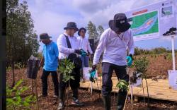 Tanam Mangrove, Bukti Komitmen LPS Hijaukan Lingkungan di Kawasan Segara Anakan Cilacap