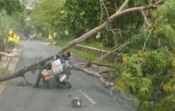 Gunungkidul Diterjang Angin Kencang, 2 Orang Luka, Puluhan Bangunan Rusak