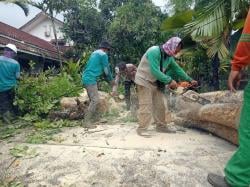 Ratusan Bangunan Rusak Akibat Puting Beliung di Tulungagung