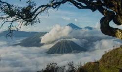 Pariwisata Jatim Mulai Pulih, Wisatawan Mancanegara Naik Drastis hingga 263% selama 2023