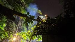 Pohon Jati Tumbang Timpa Rumah Warga di Banjarsari Ciamis