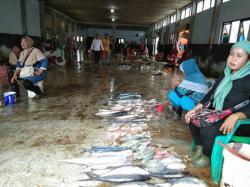 Batal Naik! Pemkab Lebak Berikan Relaksasi Retribusi Lelang Ikan Tetap 3 Persen