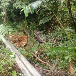 Kecelakaan Maut di Tarutung: Bus Penumpang Terjun ke Jurang, 2 Orang Meninggal 