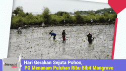 Hari Gerakan Sejuta Pohon, Petrokimia Menanam Puluhan Ribu Bibit Mangrove di Pesisir Gresik