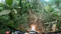 Viral Event Motor Trail Rusak Kebun Pisang Warga, Ini Respon Warganet