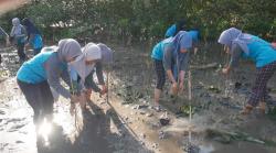 Lestarikan Lingkungan, TP PKK Kecamatan Dringu Tanam Ratusan Pohon Mangrove