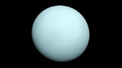 Gambarkan Bau Luar Angkasa, Astronot Laporkan Uranus Bau Kentut