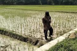 Tidak Pernah Pinjam Uang ke Bank, Petani di Bekasi Kaget Tiba-tiba Ditagih Utang Rp4 Miliar 
