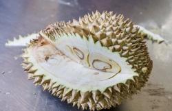 Jangan Dibuang! Begini Cara Mematangkan Durian Mentah yang Sudah Dibelah