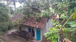 Pohon Tumbang Timpa 3 Rumah Warga di Pamarican Ciamis