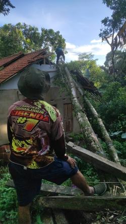 Hujan Lebat dan Angin Kencang Terjang Purwakarta, Pohon Tumbang dan Rumah Warga Rusak