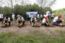 Kurangi Emisi Karbon, Kingspan Bareng Onduline dan Bukalapak Tanam Ribuan Pohon di Pasuruan