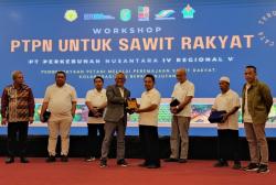 PTPN IV PalmCo Target Revitalisasi 60.000 Ha Sawit Renta hingga 2026