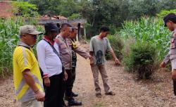 Geger! Bayi Laki-laki Tanpa Identitas Ditemukan di Pinggir Jalan Pekon Tangkit Serdang 