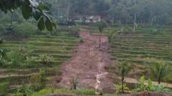 Hektaran Sawah Rusak Akibat Terdampak Pergerakan Tanah