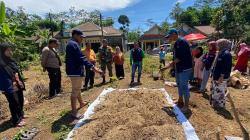 Alokasi Pupuk Bersubsidi Anjlok, Mahasiswa KKN UNEJ di Bukor Beri Solusi