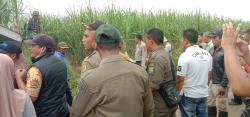 Geger !! Seorang Pria Ditemukan Tewas di Tengah Ladang Tebu