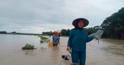 Banjir Rendam 3 Kecamatan di Pandeglang Banten