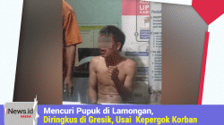 Mencuri Pupuk di Lamongan, Pelaku Kabur Diringkus di Manyar Gresik