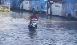 Terminal Bungurasih Sidoarjo Banjir, Aktivitas Bus Sempat Terganggu