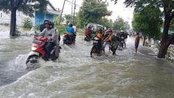 Waspada Banjir!  Puluhan Desa di 3 Kecamatan Terendam Banjir