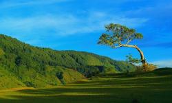 Ide Wisata Ke Bukit Beta di Samosir, Tempat yang Pas Saat Liburan Imlek