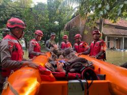 Dramatis! Brimob Polda Jateng Evakuasi Lansia Korban Banjir