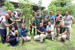 Buah Naga Tumbuh Subur di Lahan Kodiklatal