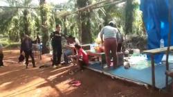 Lokasi Judi Sabung Ayam di Kebun Sawit Langkikima Konawe Utara Digerebek Polisi