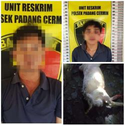 2 Pelaku Pencuri Kambing, Berhasil Diringkus Polisi di Pesawaran