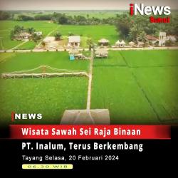 Wisata Sawah Sei Raja Binaan PT Inalum, Terus Berkembang