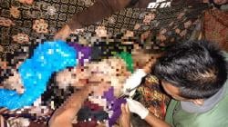 Ngeri! Seorang Warga Negeri Suoh Ditemukan Tewas di Kebun, Diduga Diterkam Harimau 