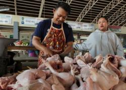 Penuhi Kebutuhan Daging Ayam, Surabaya Siap Bangun Rumah Potong Unggas di Semua Wilayah