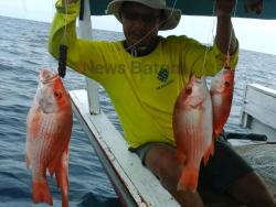 Hobi Mancing?, 5 Spot di Batam Ini Bisa Jadi Rekomendasi