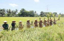 Jateng Mulai Panen Raya, Pj Gubernur Jateng: Menambah Stok Beras dan Stabilkan Harga