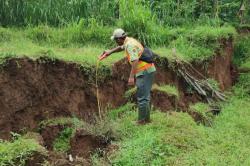 Kebun Kopi Seluas Satu Hektare di Temanggung Terancam Longsor Akibat Tanah Gerak